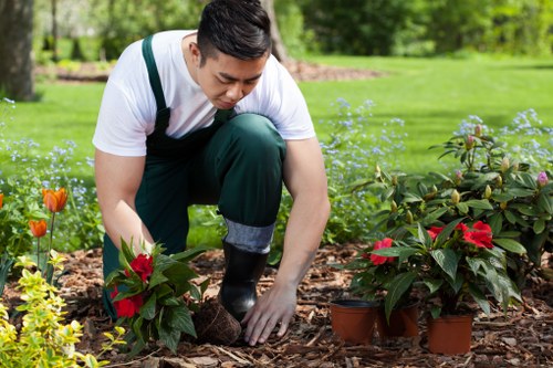 Sustainable gardening practices in Yeading